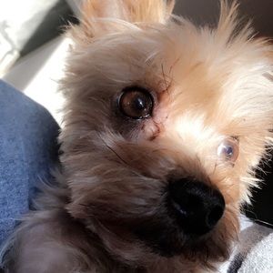 Meet your Posher, Lilly